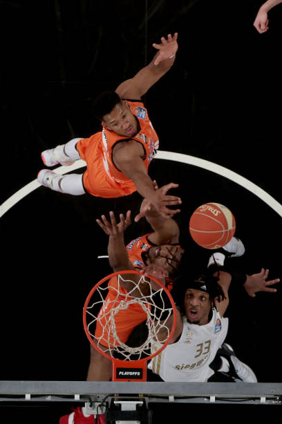 鹿扬作为体 鹿扬作为体